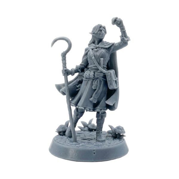 فیگور راهزنان دره سیاه D&D | بسته قهرمانان - Image 3